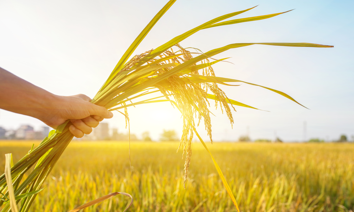 当たり前の環境の「その先」をサポートいたします。